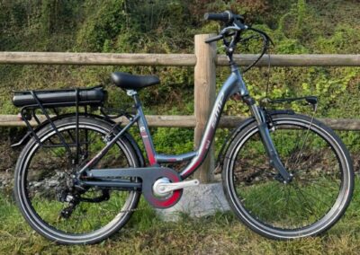 SMP URBAN SOUL 26″